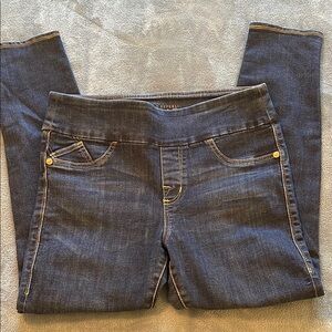 Rock & Republic Jegging Skinny Jeans size 14